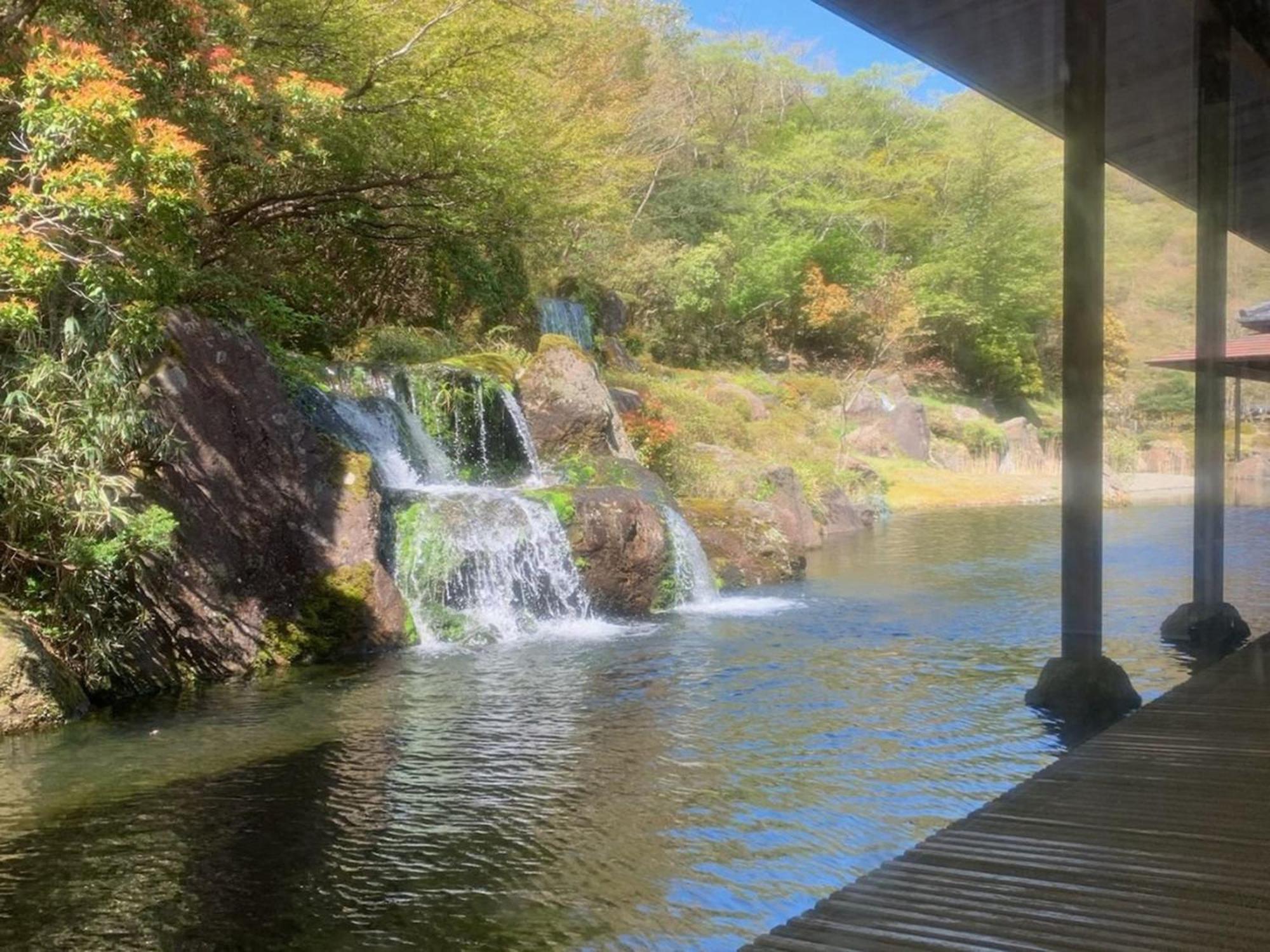 Hakone Yunohana Prince Hotel Kanagawa Dış mekan fotoğraf