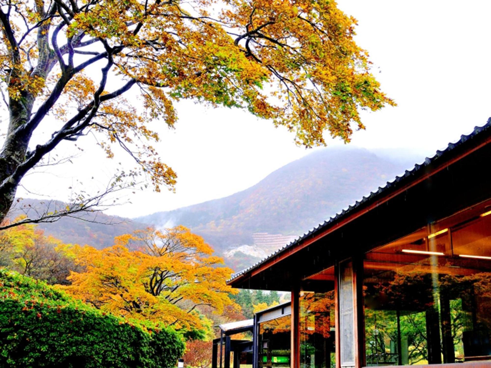 Hakone Yunohana Prince Hotel Kanagawa Dış mekan fotoğraf