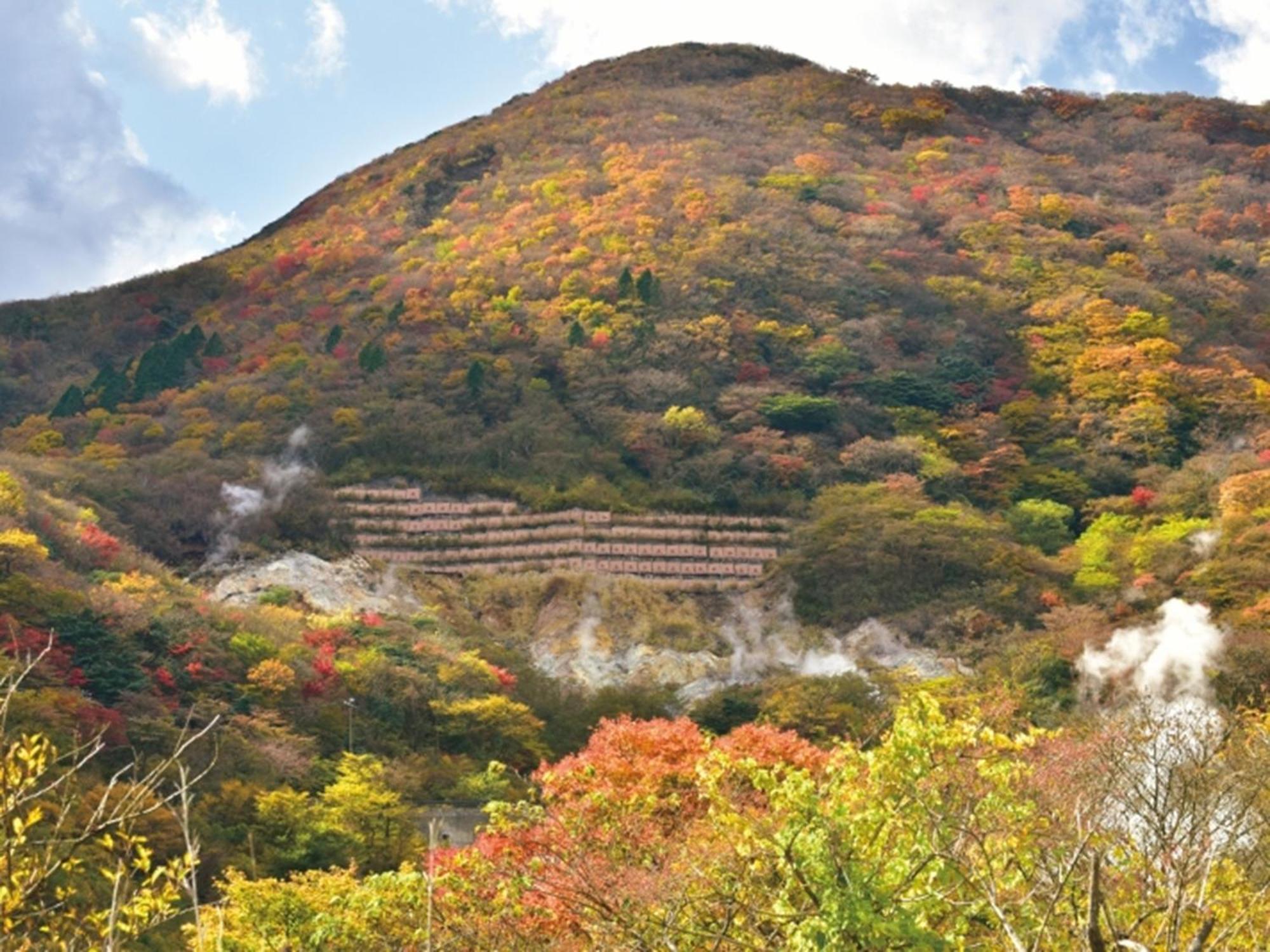 Hakone Yunohana Prince Hotel Kanagawa Dış mekan fotoğraf