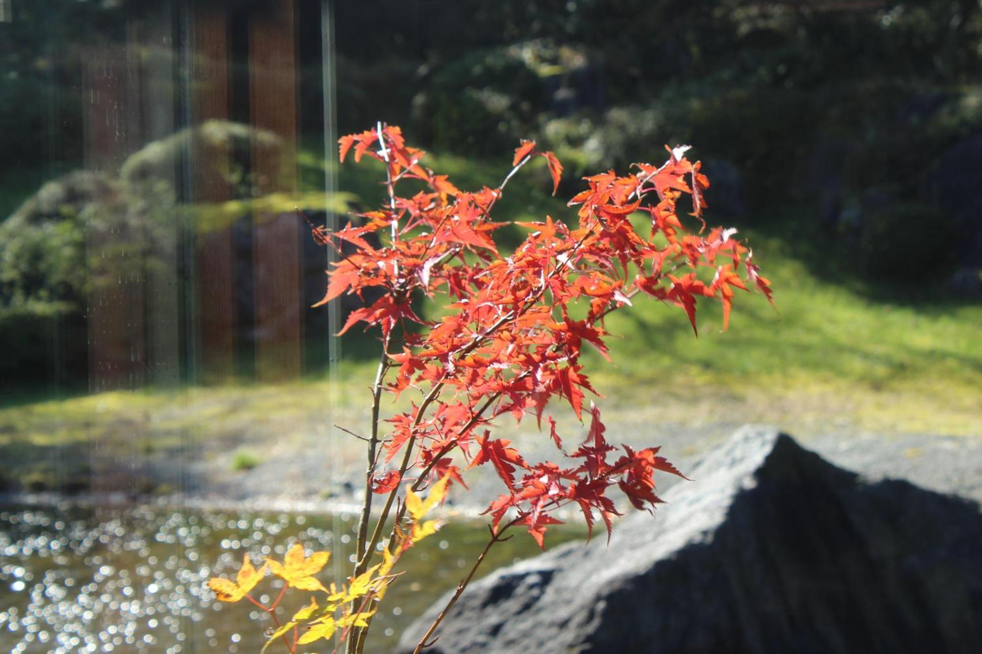 Hakone Yunohana Prince Hotel Kanagawa Dış mekan fotoğraf