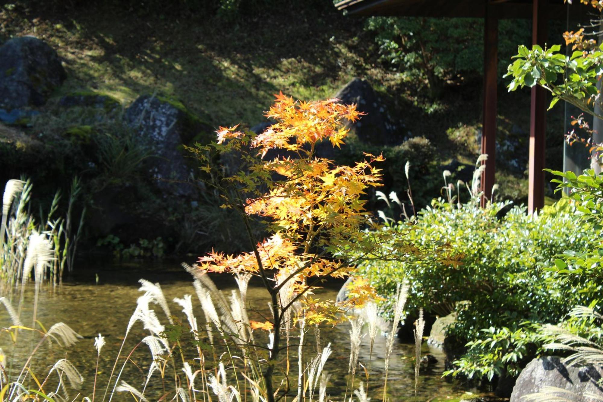 Hakone Yunohana Prince Hotel Kanagawa Dış mekan fotoğraf