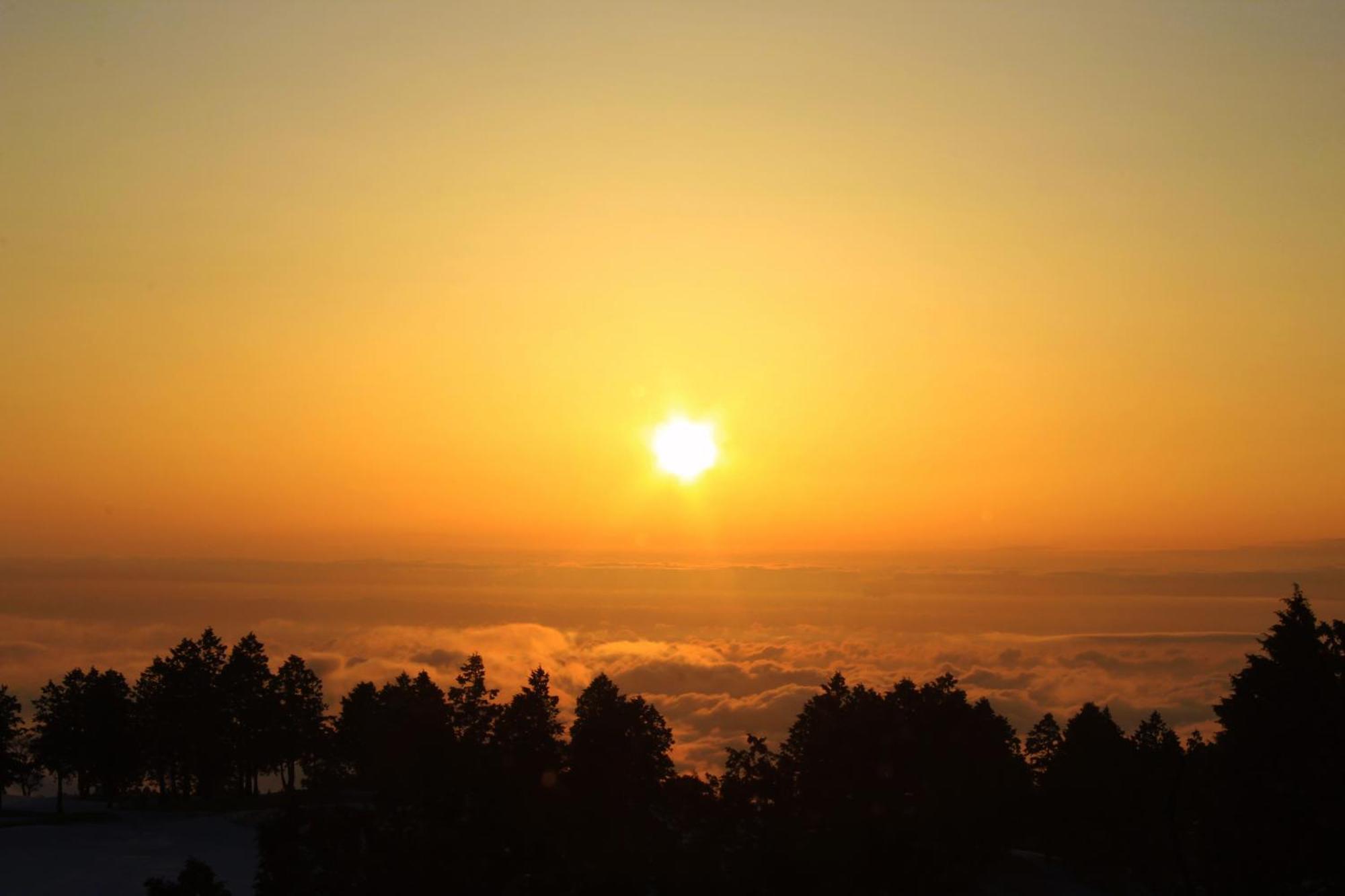 Hakone Yunohana Prince Hotel Kanagawa Dış mekan fotoğraf